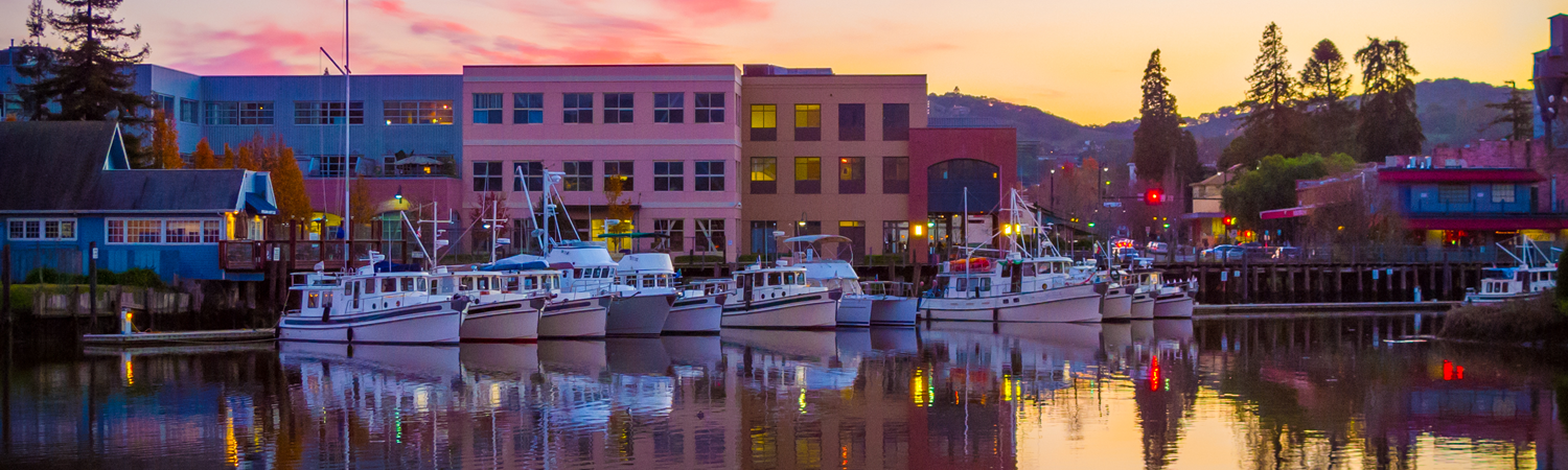 Banner image of Petaluma