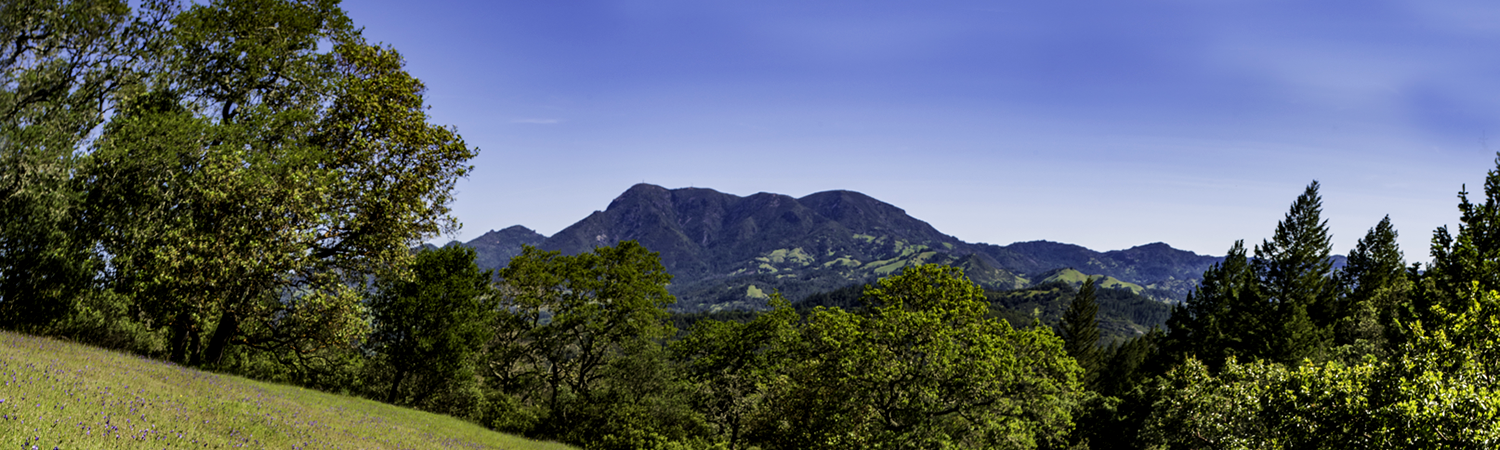 Banner image of St. Helena