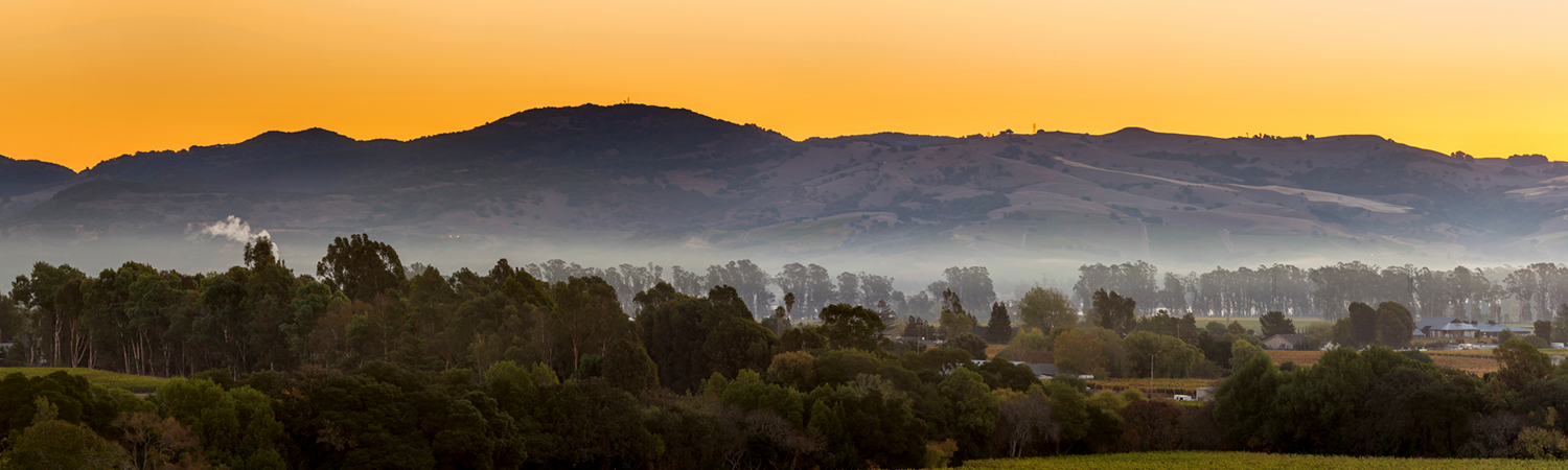 Banner image of Windsor